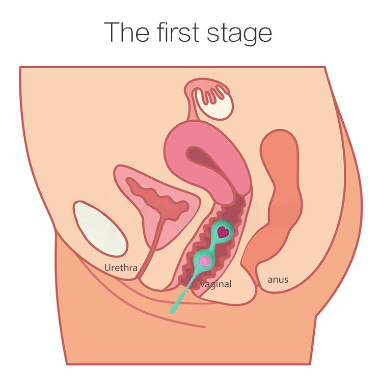 Premium Kegel Ball